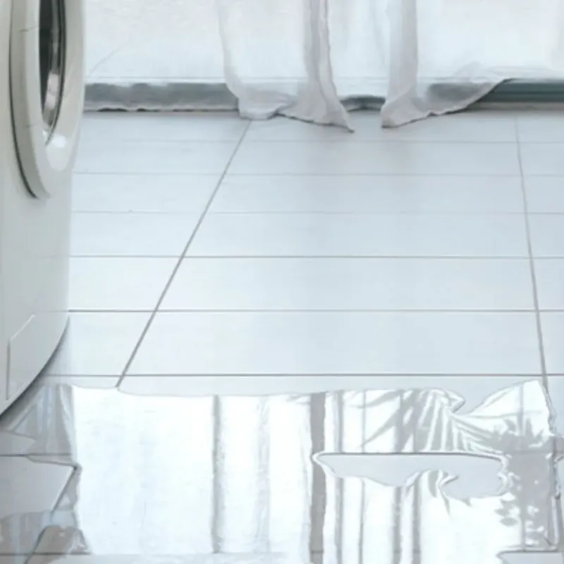 Appliance Leak Cleanup in North Fair Oaks, CA