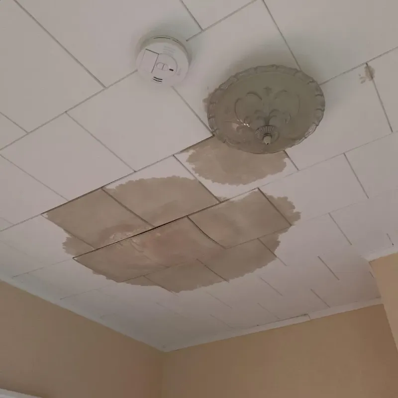 Ceiling Water Damage Repair in North Fair Oaks, CA
