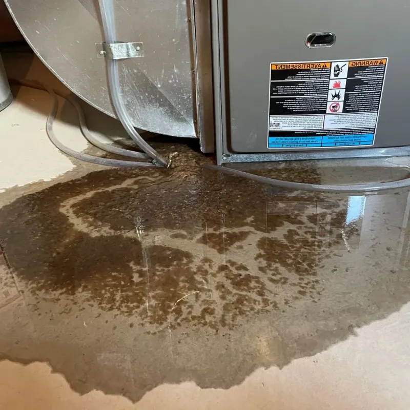 Pipe Burst and Leak Restoration in North Fair Oaks, CA